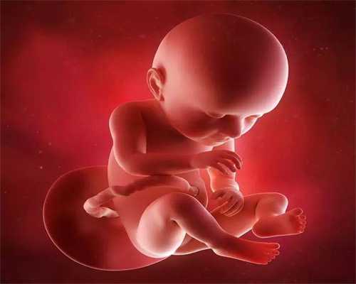 试管婴儿和代孕母亲_代孕全包协议内容_1626522785275