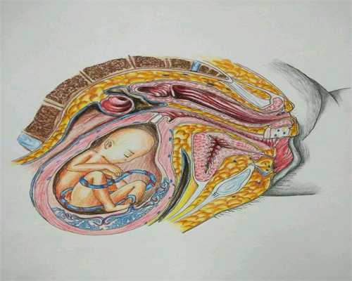 代孕需要什么体俭_想找代孕的_通了输卵管后必须要输液吗3