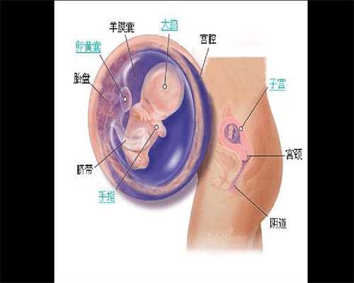 代孕定制龙凤双胞胎费用_怎么能联系到想找代孕的_输卵管造影插管捅死3