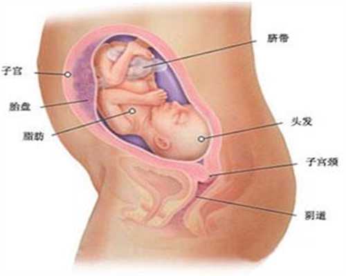 重庆供卵试管_重庆第三方助孕的孩子