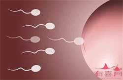 代孕几种方式_代孕生殖套餐_第三代试管是什么意思?:做过试管之后又自然怀孕