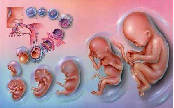 哪里有在代孕_代孕包成功男孩_如何考量自身条件是否适合赴美做试管婴儿?